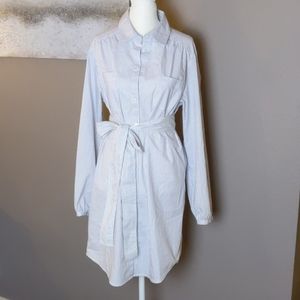 Button-up blue pinstripe shirt dress
